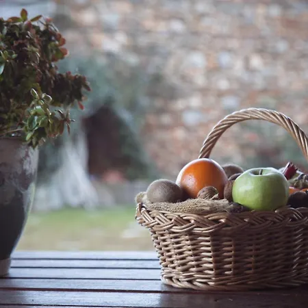 House Venetia Apartmán *