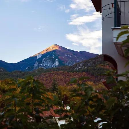 House Venetia * Orma