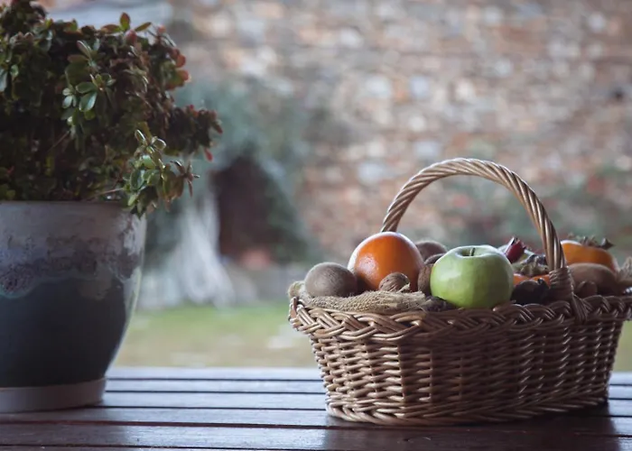 House Venetia Apartment *